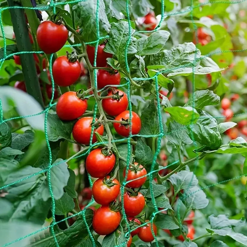 Plant Climbing Net Green Gardening Grid Cucumber Hanging Gourd Climbing Net Bracket Net Wind Resistance Net Oasis Select
