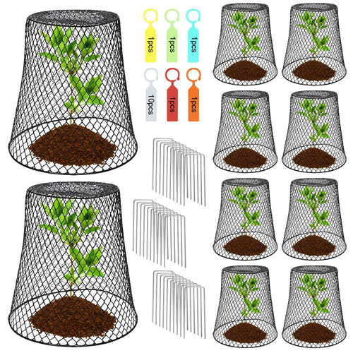 10-Pack Wire Plant Protection Cloches – Garden Pest Cages Garden Plant Cage Oasis Select A