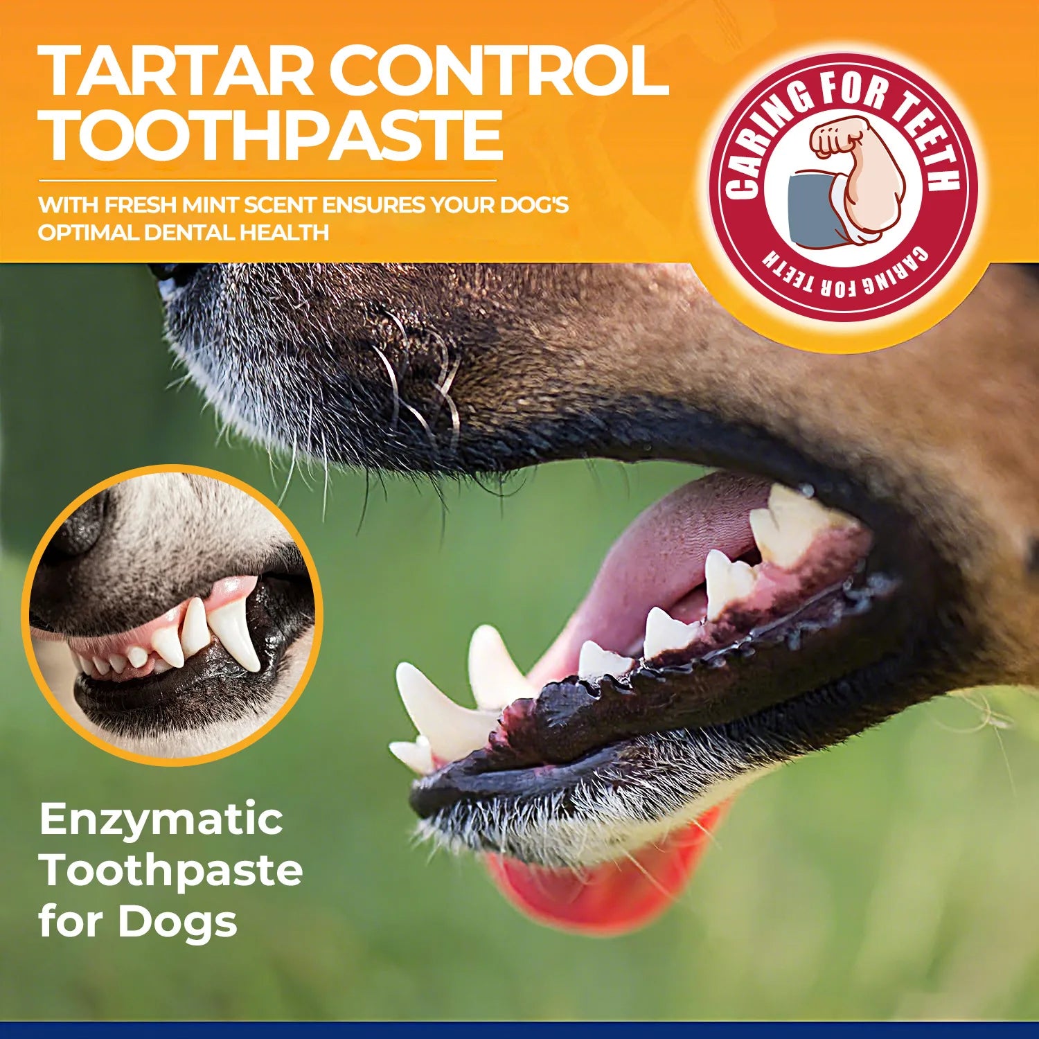 Dog Enzyme Toothpaste with Baking Soda – Fresh Breath & Tartar