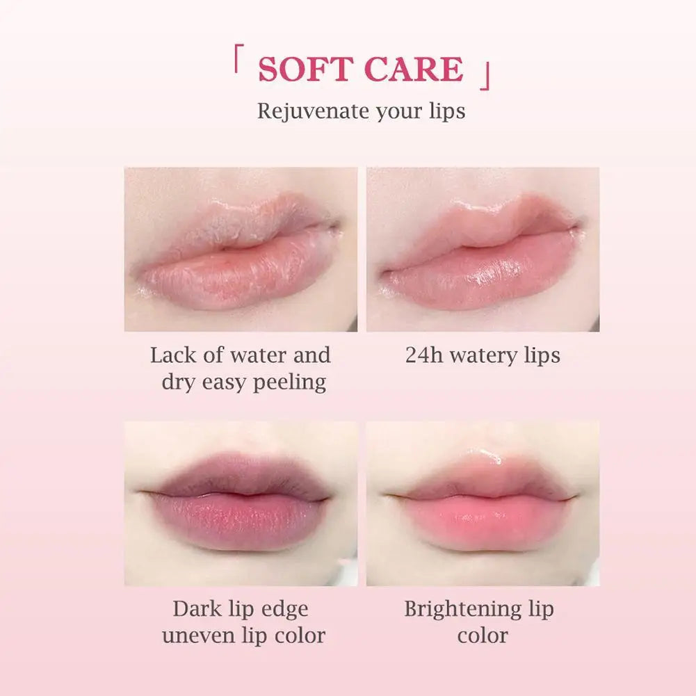 6PCs Natural Fruit Discolored Lip Balm Set Color Changing Moisturizing Lip Tint Long-Lasting Glossy Nourishing Lipstick Lip Care Oasis Select