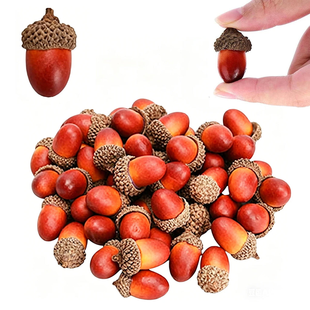5/10 PCS Artificial Acorns with Caps Realistic Fake Acorns DIY Craft Fall Autumn Decor Table Centerpiece Woodland Props Oasis Select