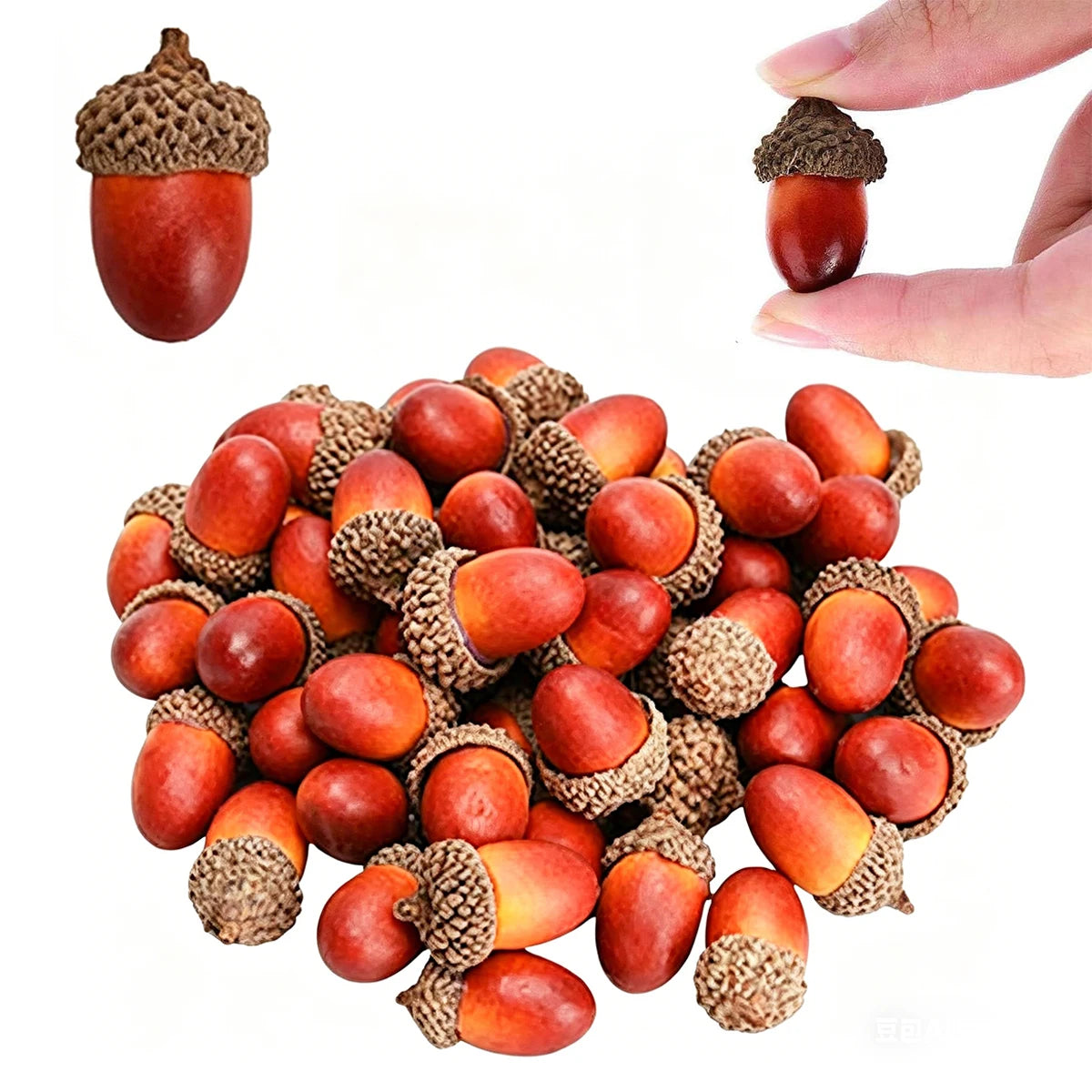 5/10 PCS Artificial Acorns with Caps Realistic Fake Acorns DIY Craft Fall Autumn Decor Table Centerpiece Woodland Props Oasis Select