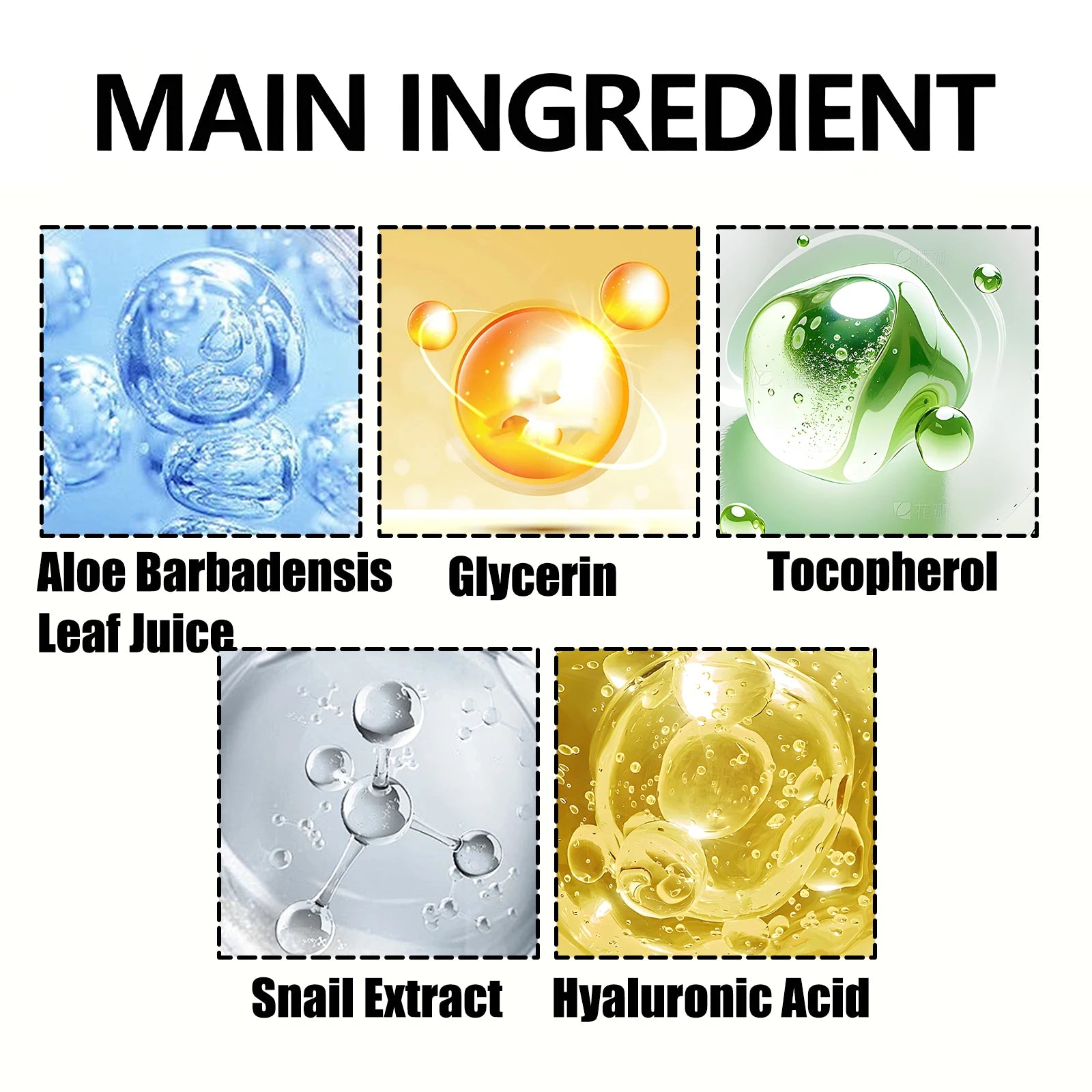 Snail Collagen Anti-Aging Day Cream – Face & Neck Moisturizer Anti-Aging Day Cream Oasis Select