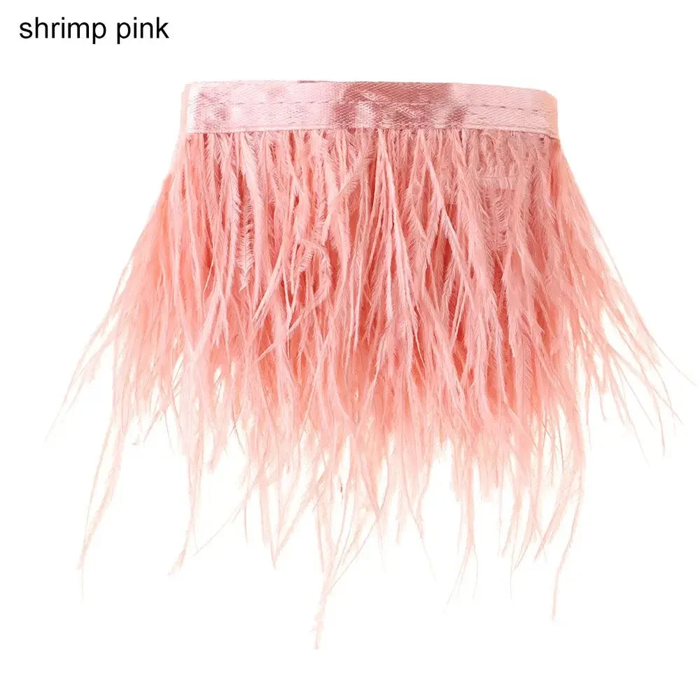 Fashion Ostrich Feathers Trim 1 Meter Long 8-10 CM Wide Plumes Ribbon Selvage DIY Dress Crafts Accessories Feathers Ribbon Oasis Select shrimp pink