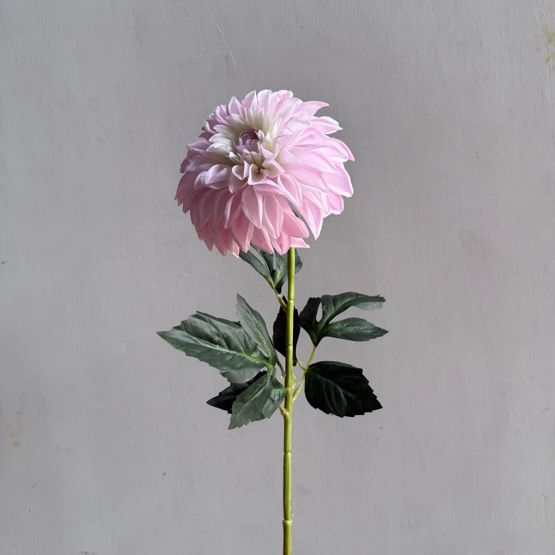 Lifelike artificial dahlia flower with 1 heads long branch silk flower for home wedding decor birthday party bedroom Decoration Oasis Select Pink