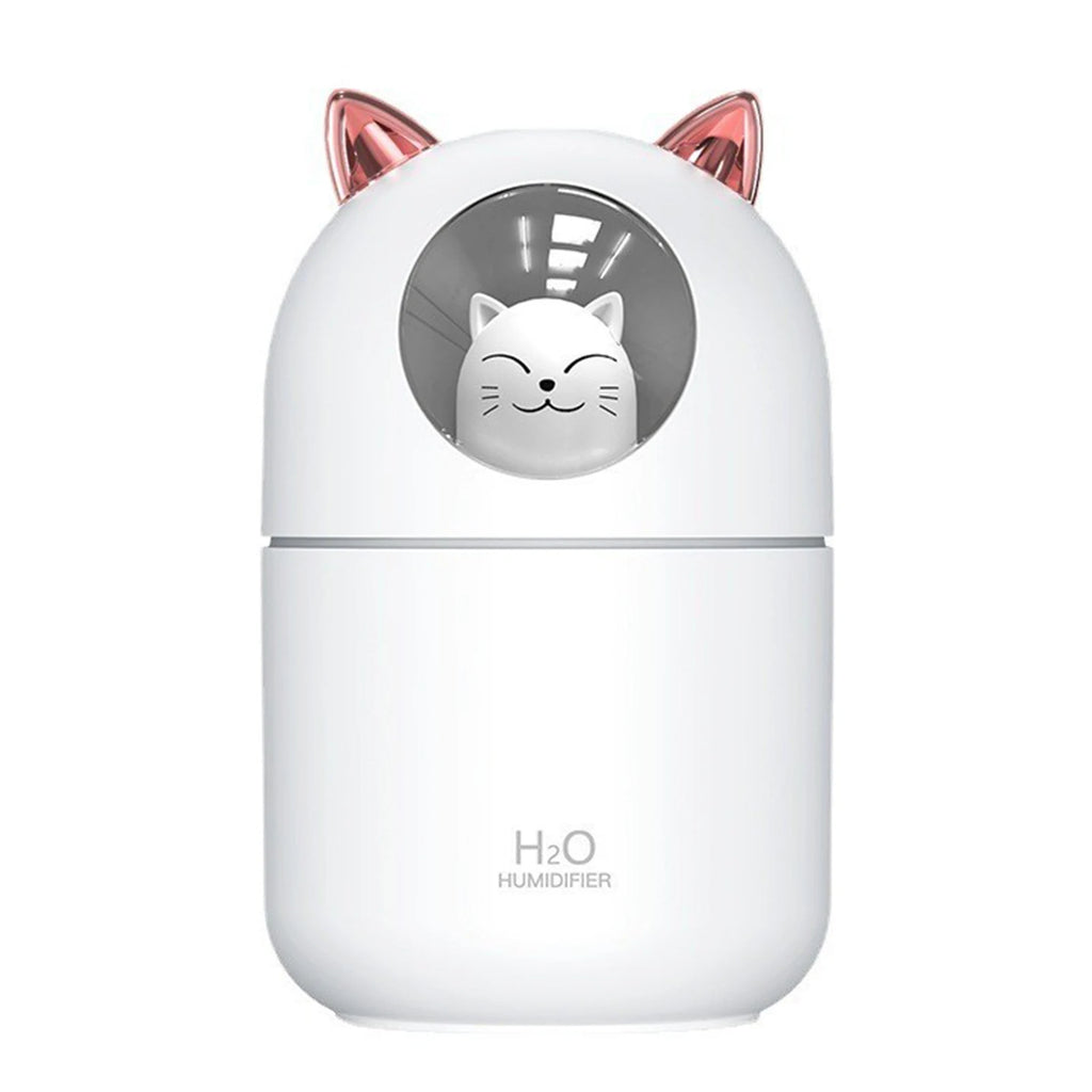 USB Mini Humidifier & Aroma Diffuser with Night Light | 300ml