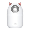 USB Mini Humidifier & Aroma Diffuser with Night Light | 300ml