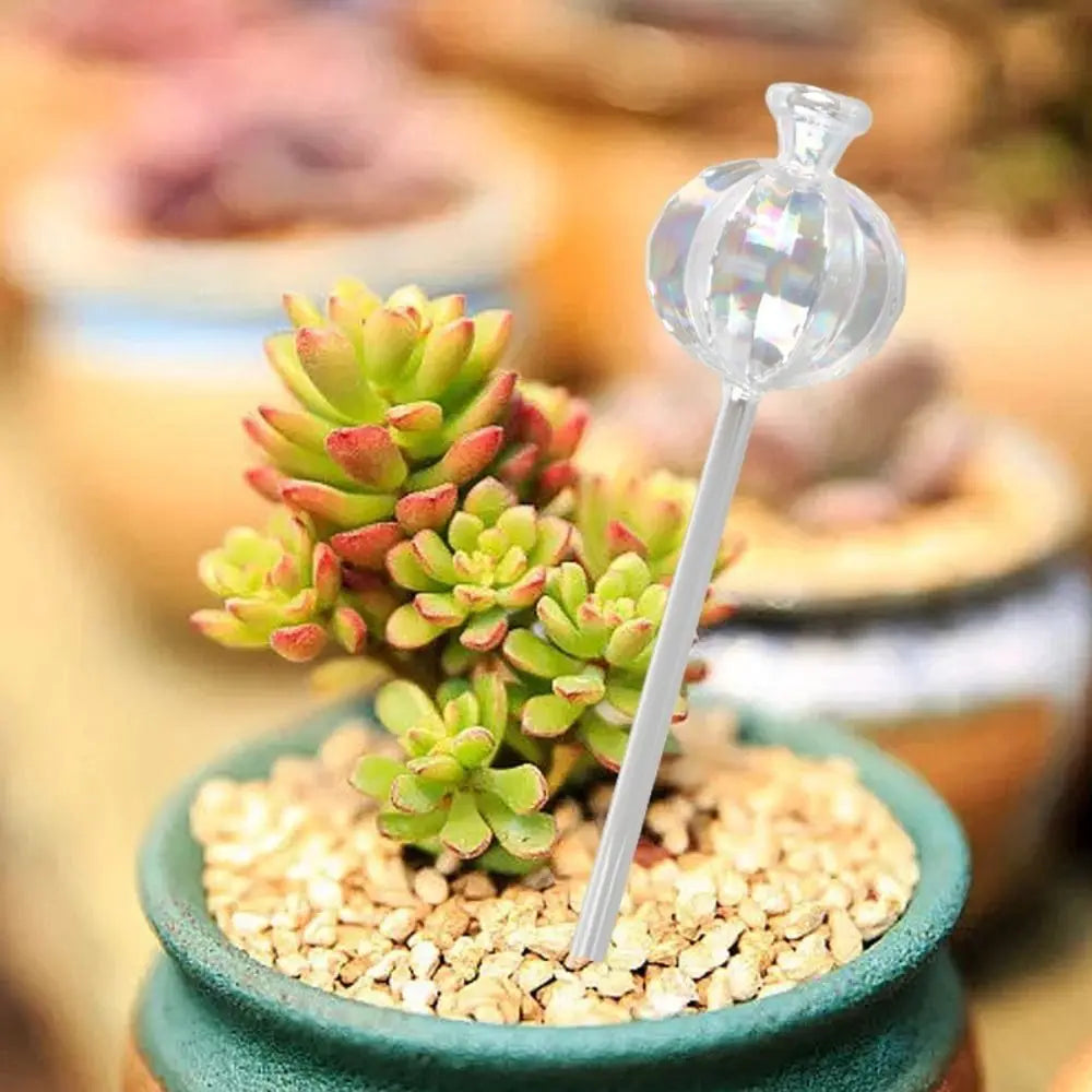 Cactus Glass Self-Watering Plant Bulbs | Automatic Feeder
