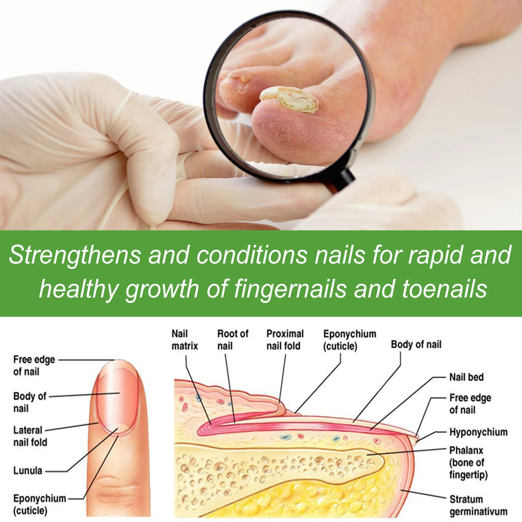 5-Day Nail Care Roller – Nourishing Nail Serum for Hand & Foot Nail Treatment Serum Oasis Select