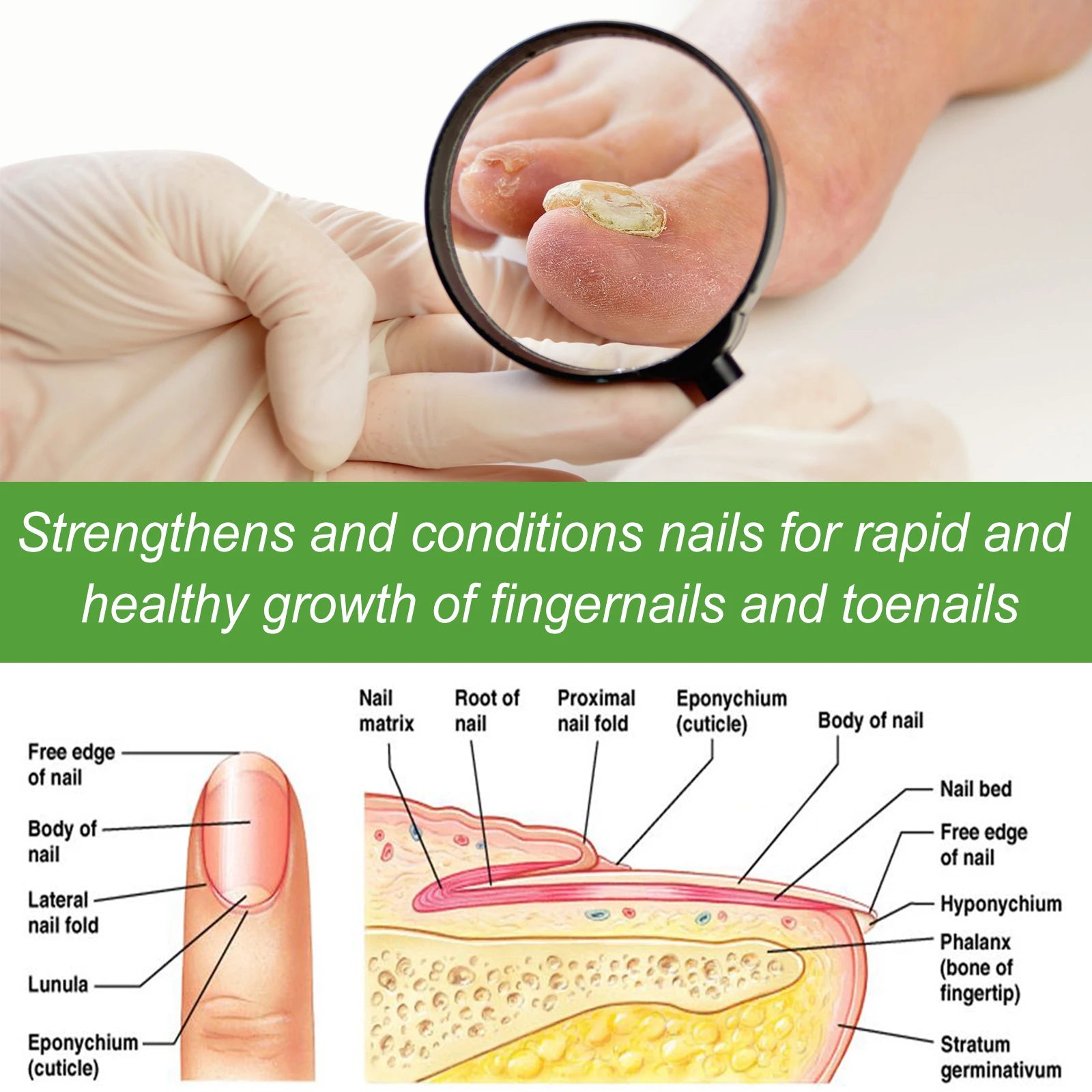5-Day Nail Care Roller – Nourishing Nail Serum for Hand & Foot Nail Treatment Serum Oasis Select