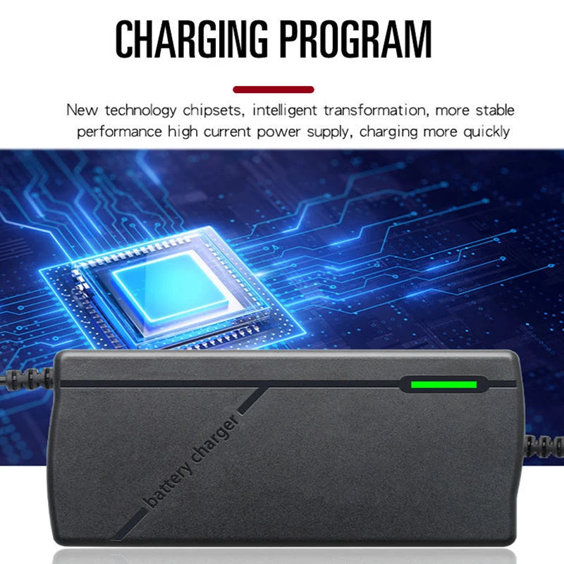 12V 10A Smart LiFePO4 Battery Charger 14.6V 4S AC110-240V