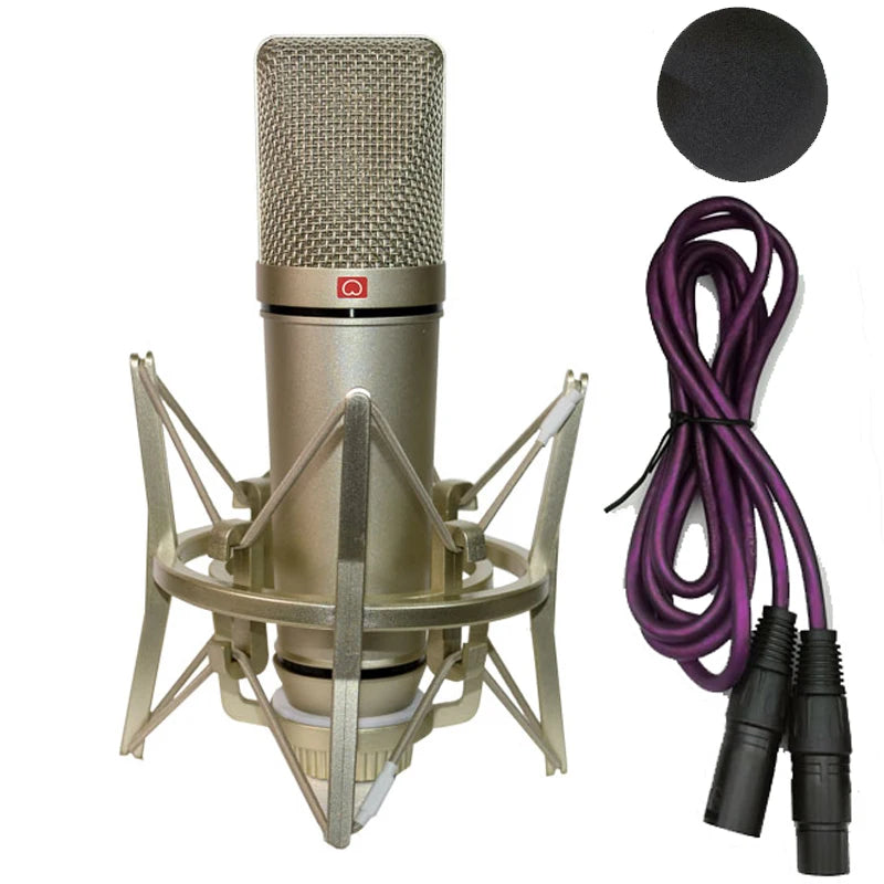AyeBeau Condenser Microphone – Studio, PC & Karaoke Recording