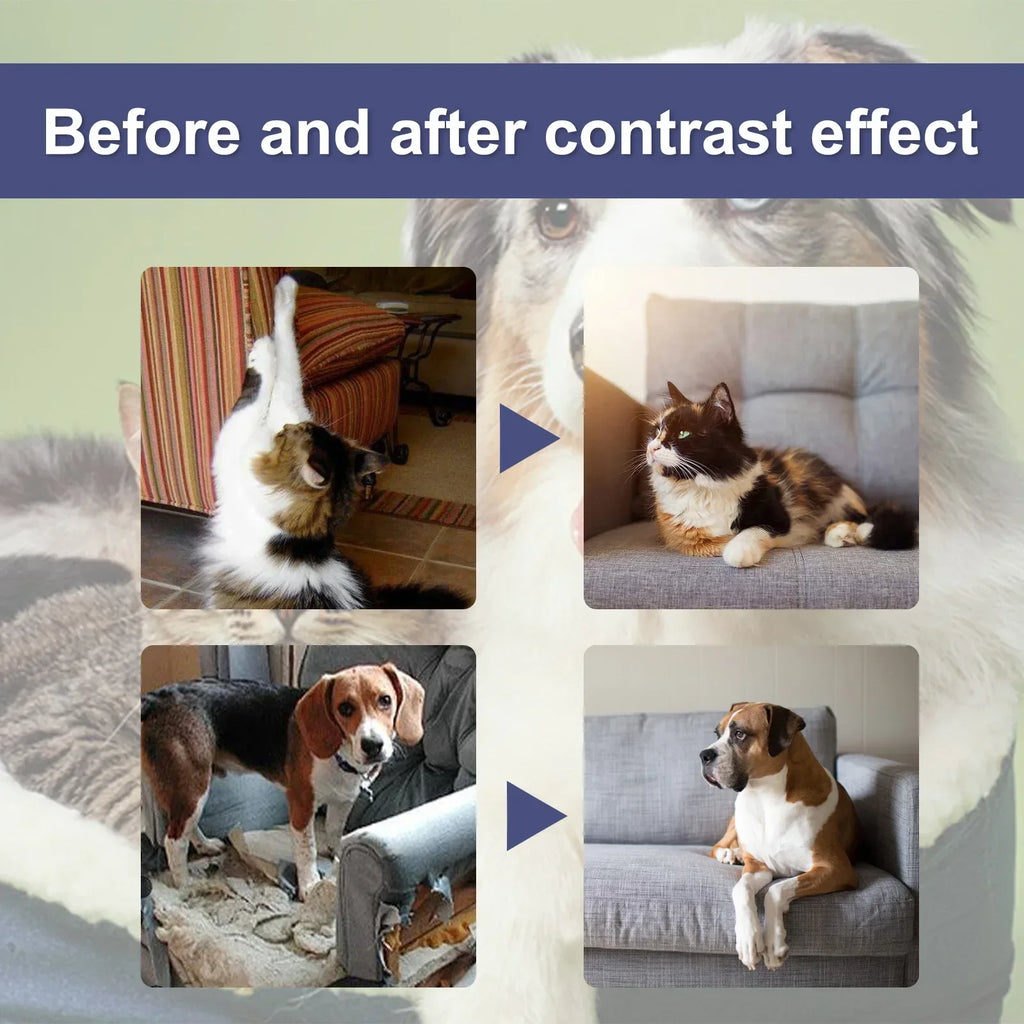 50ml Cat Scratch Deterrent Spray Natural Scratching Training Aid Spray No Stimulation Orange Fragrance Sofa Furniture Protectors Oasis Select