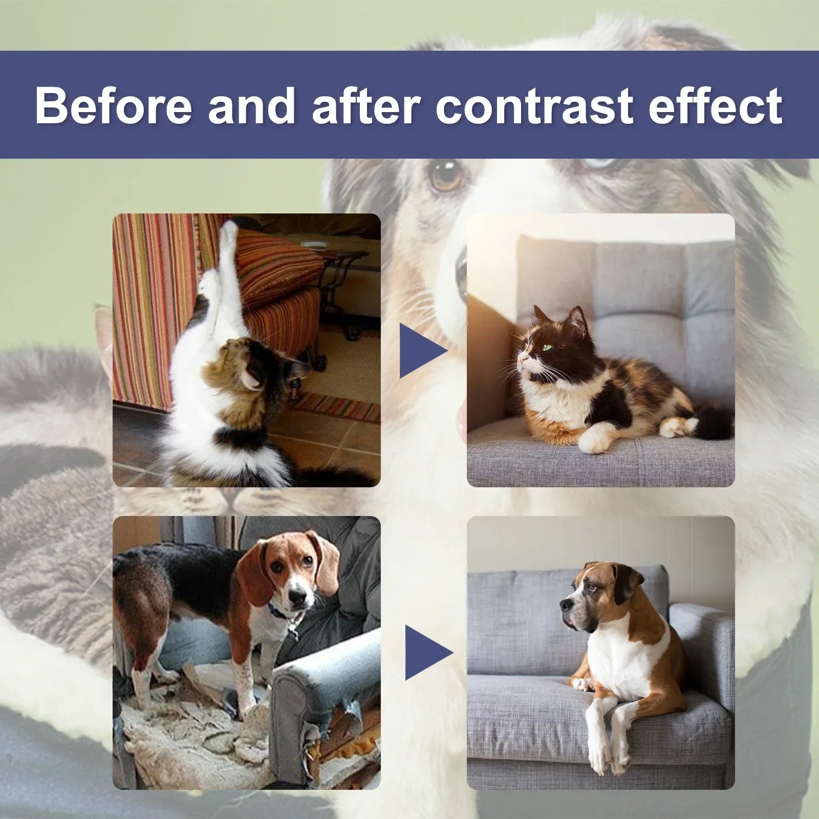 50ml Cat Scratch Deterrent Spray Natural Scratching Training Aid Spray No Stimulation Orange Fragrance Sofa Furniture Protectors Oasis Select