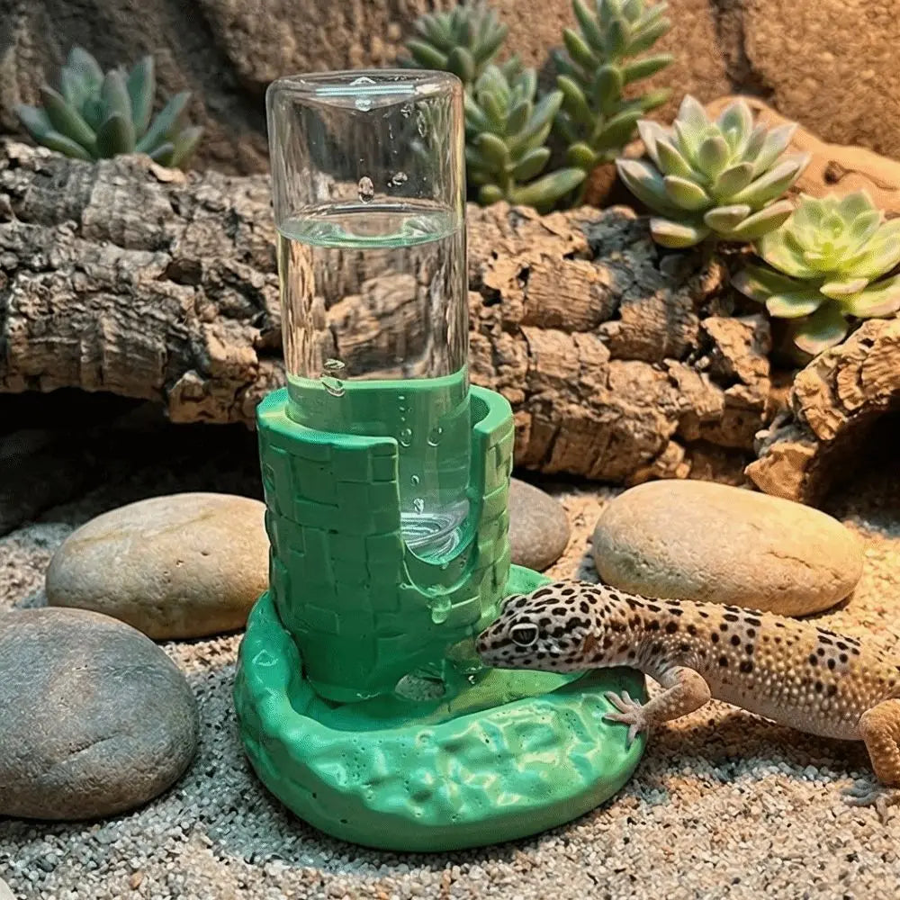 Reptile & Amphibian Water Dish | Anti-Slip Removable Base Bowl