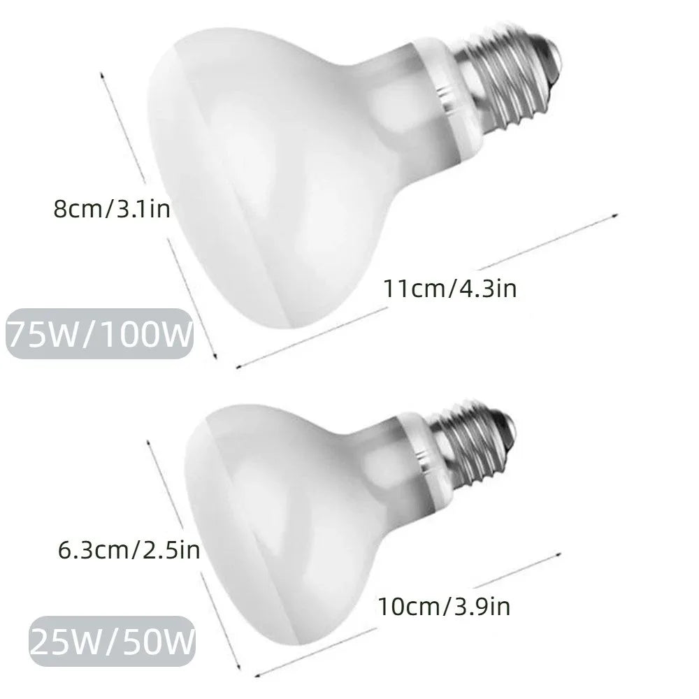 E27 UVA Reptile Heating Lamp 25–100W | Daylight Heat Bulb