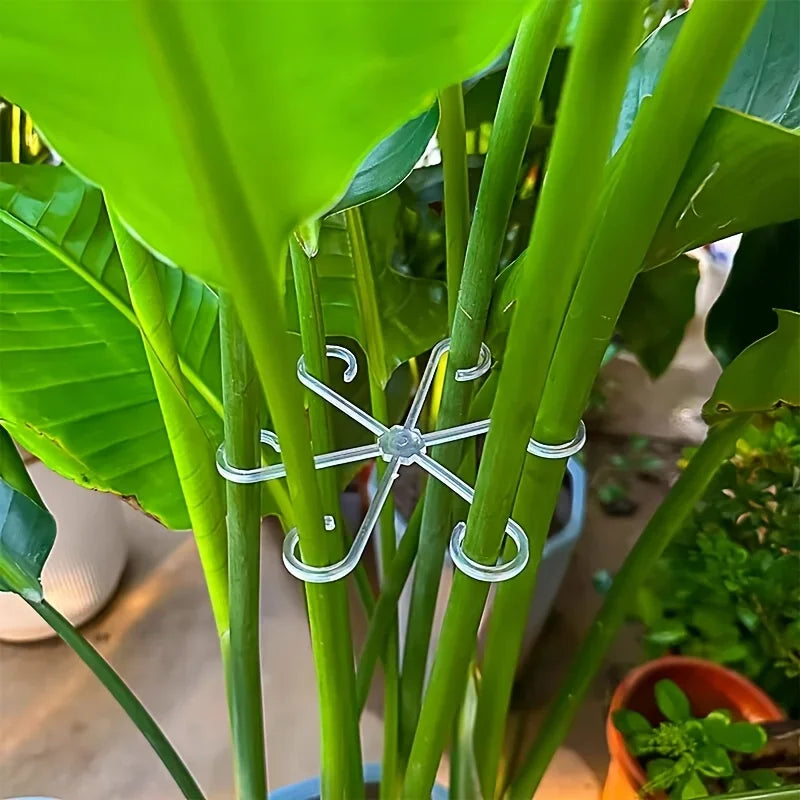 Flower Plant Stem Support Stakes Climbing Houseplant Stand Frame Plastic Garden No Stake Trellis Indoor Plant Holder Rack Hoops Oasis Select