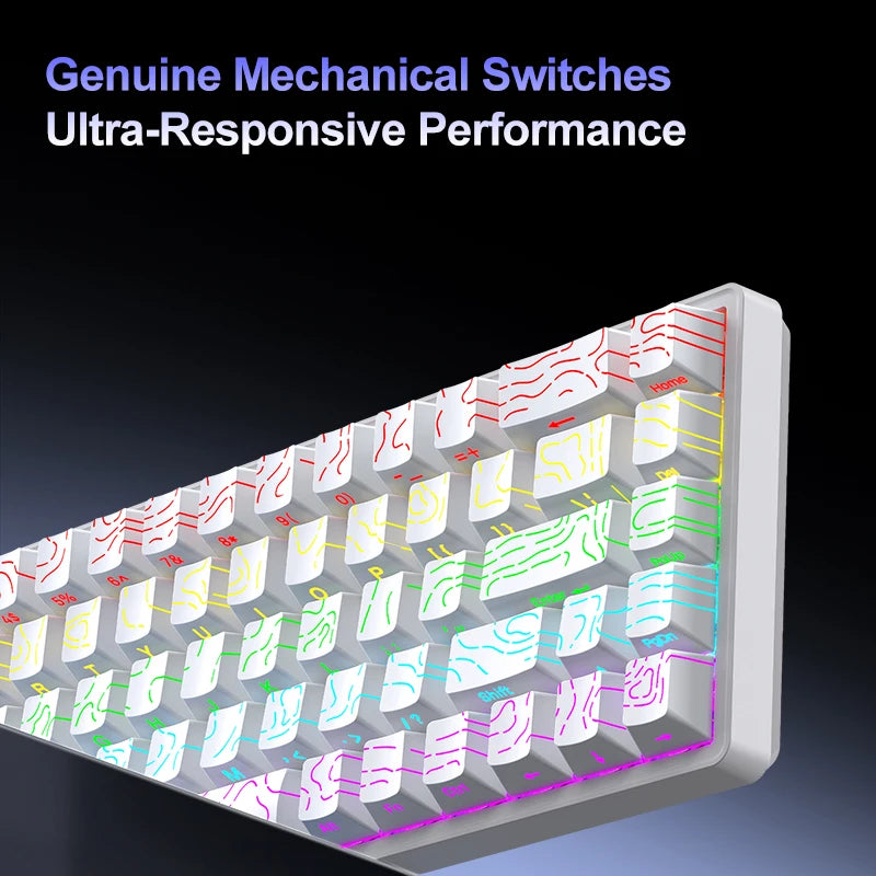 APAYADO A68 Hot-Swappable Mechanical Keyboard, 68-Key Compact, RGB Backlight, Blue/Red Switch Options, NKRO for Gaming Oasis Select