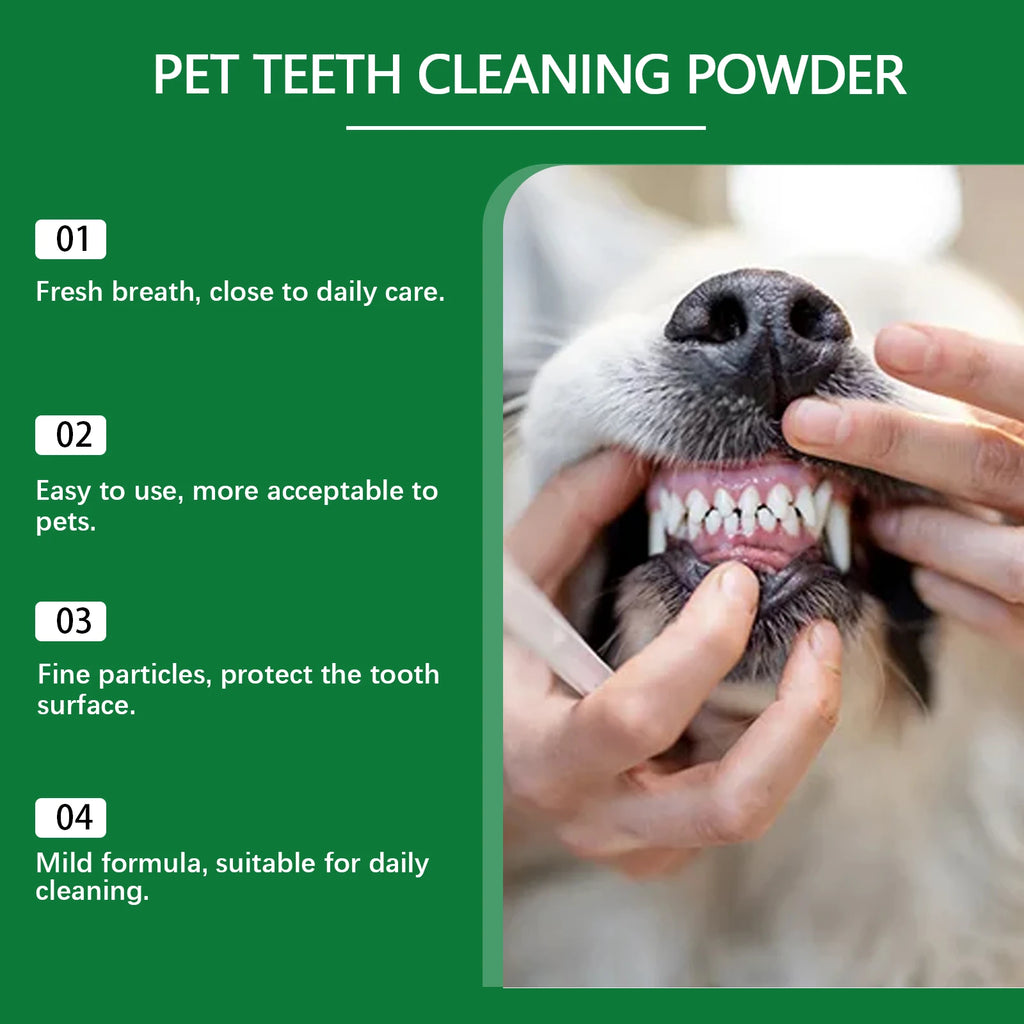 YEGBONG Pet Teeth Cleaning Powder – Plaque & Fresh Breath 100g Pet Dental Powder Oasis Select