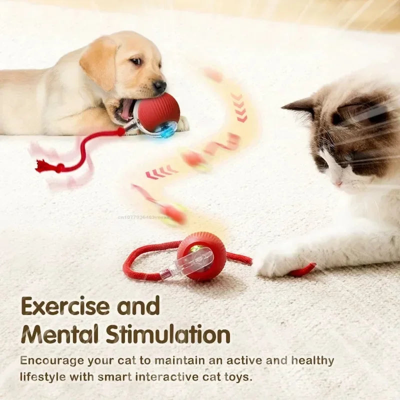 Cat Interactive Ball Training Self-moving Kitten Electric Cat Ball Toys Electronic Automatic Rolling Magic Ball Toys for Cat Oasis Select