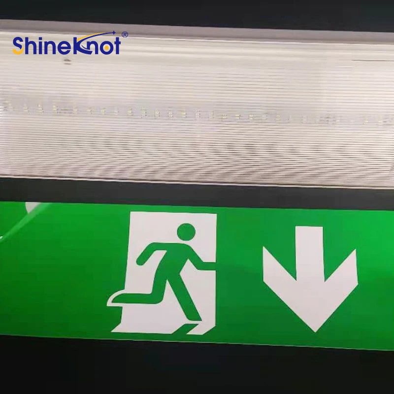 8W LED Emergency Bulkhead Light IP65 | 3-Hour Battery Backup