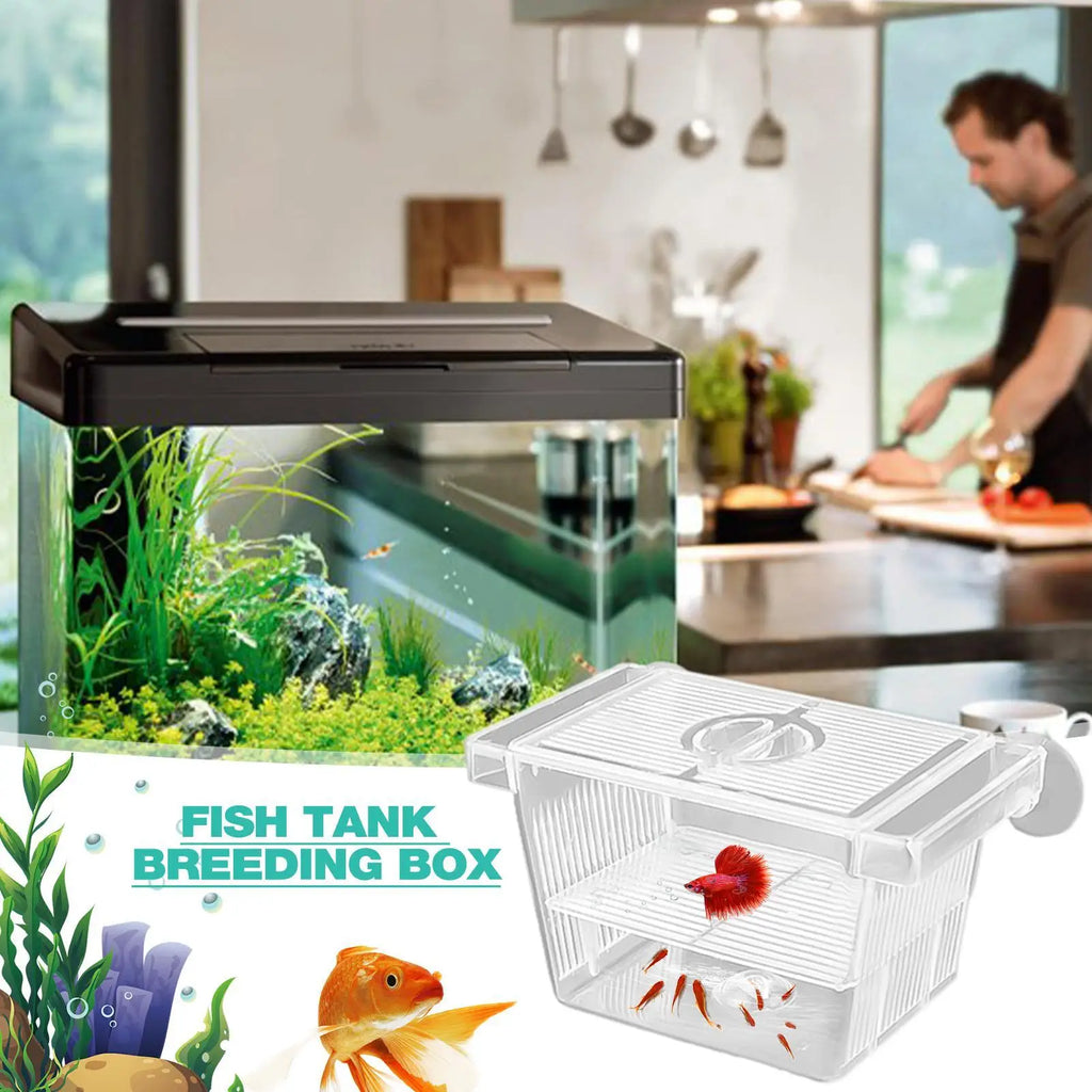 Aquarium Fish Breeder Box Clear Betta Fish Tank Fish Breeding Isolation Box Hatching Incubator Box For Baby Fish Shrimp Trap Box Oasis Select