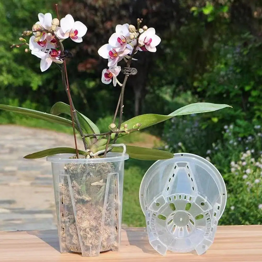 Clear Orchid Planter Pot – PP Plastic, Air Holes & Drainage