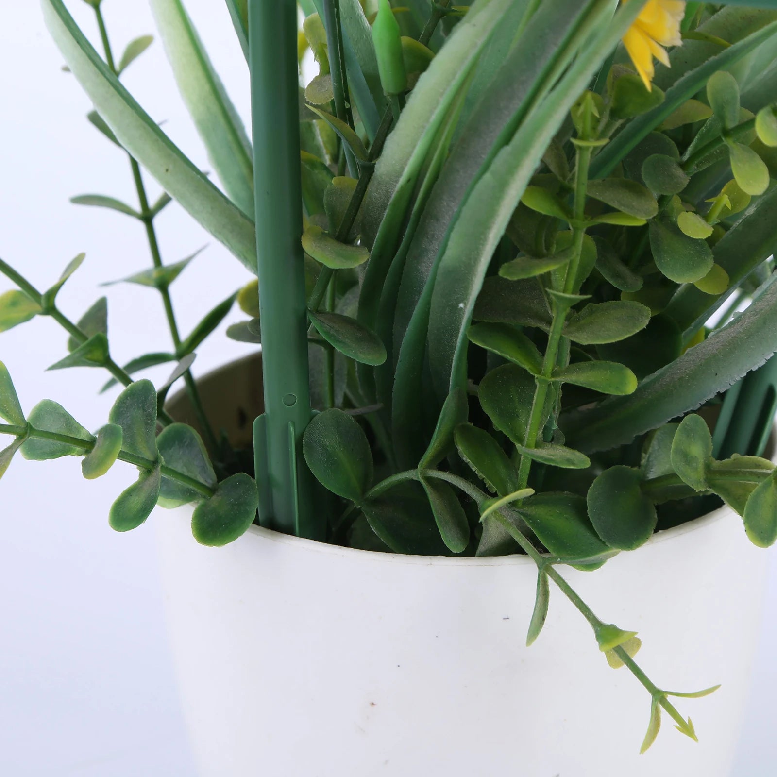 6Pcs Plant Support Stakes Half Round Plant Support Protective Garden Flower Support Indoor Plant Stake Garden Supplies Oasis Select