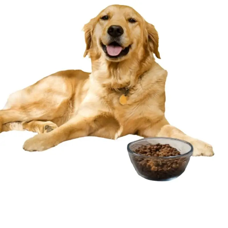 Pet Feeding Mat-Absorbent Pet Placemat For Food And Water Bowl With Waterproof Rubber Backing Quick Dry Water Mat For Dog Cat Oasis Select
