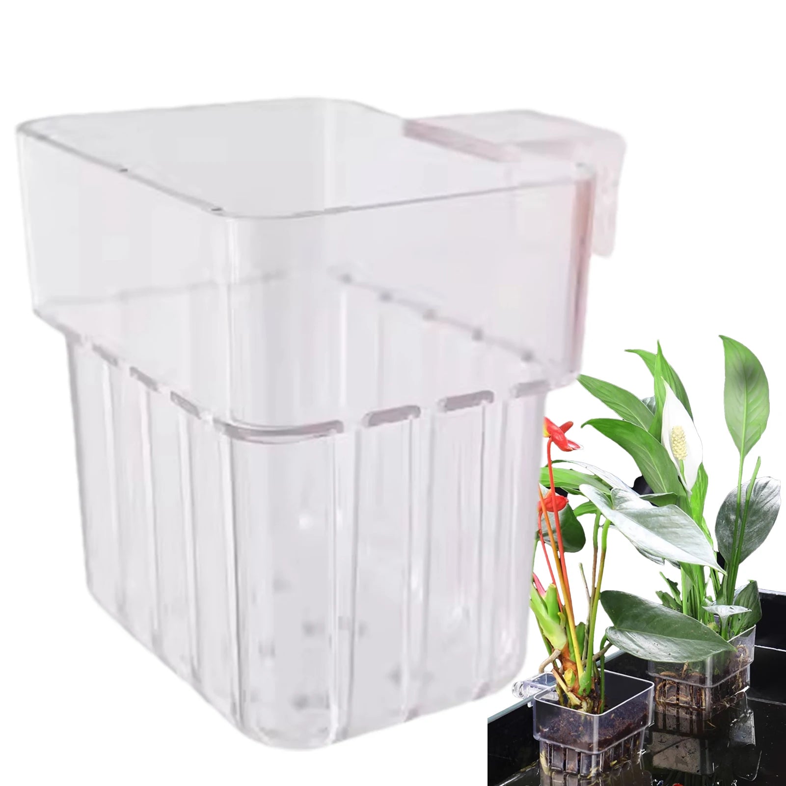 Aquarium Plant Holder Transparent Aquarium Decorations Plants Pot Aquatic Plants Holder Aquatic Plant Cup Fish Tank Planter Oasis Select
