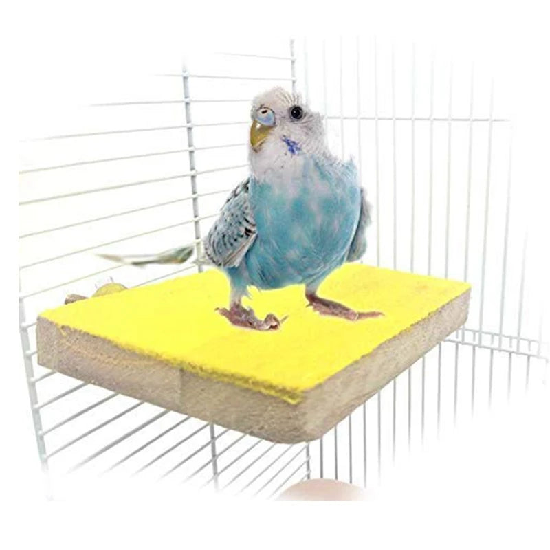 Bird Perch Stand Platform Natural Wood Playground Paws Grinding Clean For Pet Parrot Budgies Parakeet Cockatiels Conure Lovebird Oasis Select