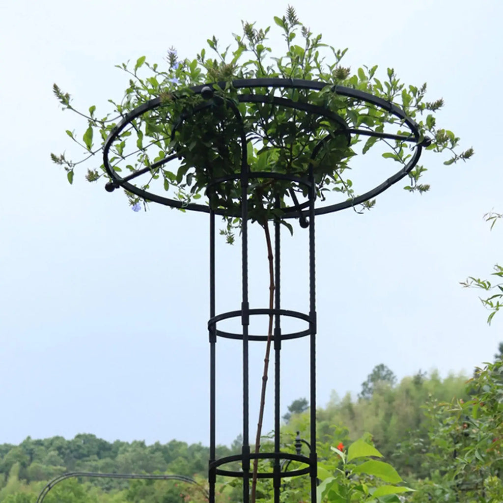 Trellis for Climbing Plants Outdoor Vegetable Vertical Support Frame Outdoor Gardening Support Trellis for Climbing Plants Oasis Select