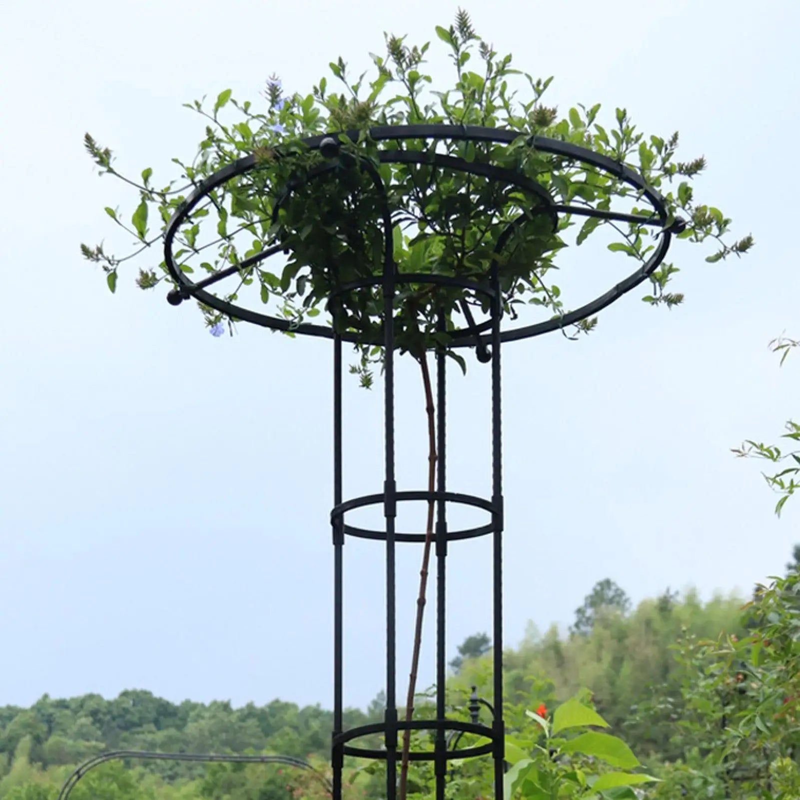 Trellis for Climbing Plants Outdoor Vegetable Vertical Support Frame Outdoor Gardening Support Trellis for Climbing Plants Oasis Select