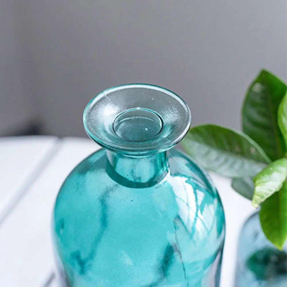 Transparent Glass Flower Vase | Modern Hydroponic Table Decor Glass Flower Vase Oasis Select