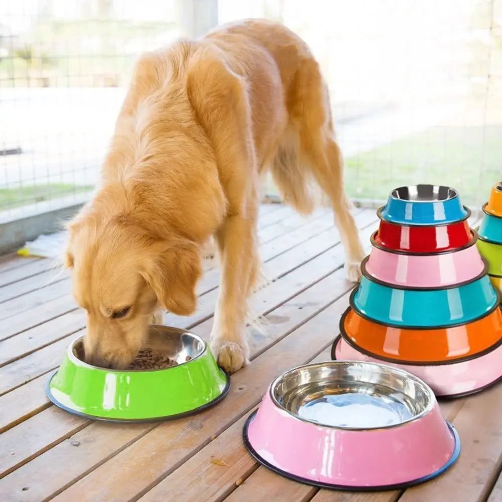 Stainless Cat Bowls Pet Steel Bowl Set Food Water Bowl for Dogs and Cats Anti-skid Cats Supplies Oasis Select