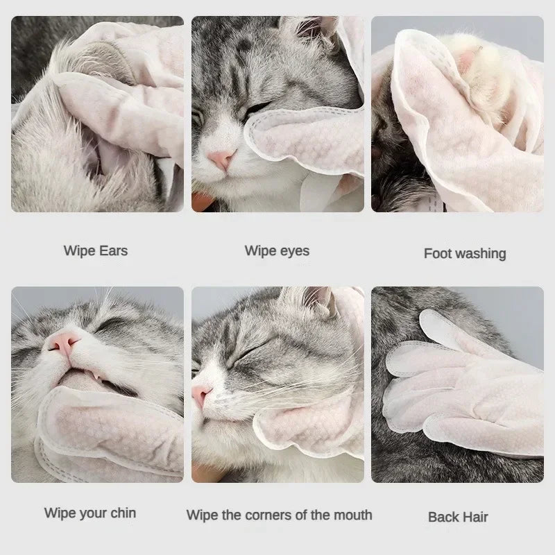 6pcs Pet Disposable Gloves Cat Dog Wipes No Rinse Washing Gloves Grooming Pet Cat Dog Ear Eye Cleaning Deodorizing Gloves Wipes Oasis Select
