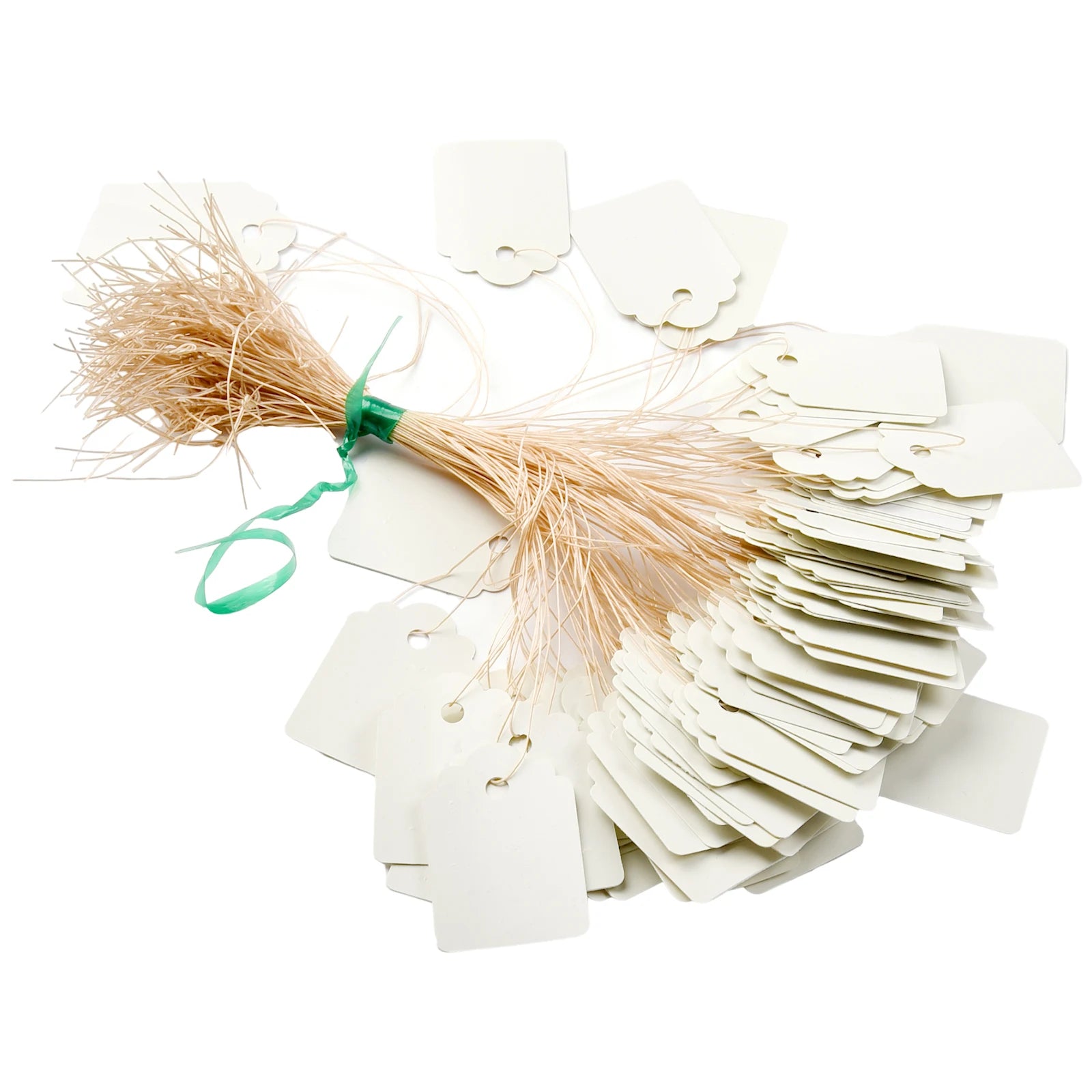 100pcs Waterproof Plastic Plant Hanging Tags | Garden Labels Garden Plant Labels Oasis Select