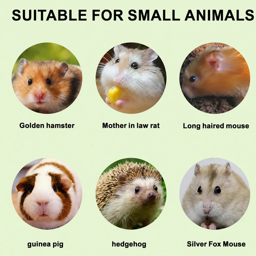 Hamster Bath Dust Sand Deodorizing Urine Sand for Chinchilla Gerbil Small Pet ToiletOdor Control Bedding Soft Safe Natural Oasis Select