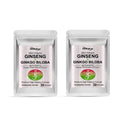 120PCS Energy Support Body Patches Natural Red Ginseng Ginkgo Biloba Collagen Circulation Boost Energy Boost SkinCare Patches Oasis Select 60PATCHES