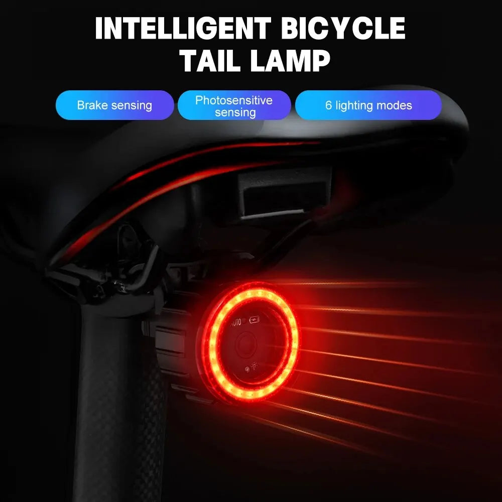 X-TIGER Smart Bicycle Tail Light Waterproof LED Sensor Brake Light Super Bright Cycling Safety Warning Light Oasis Select
