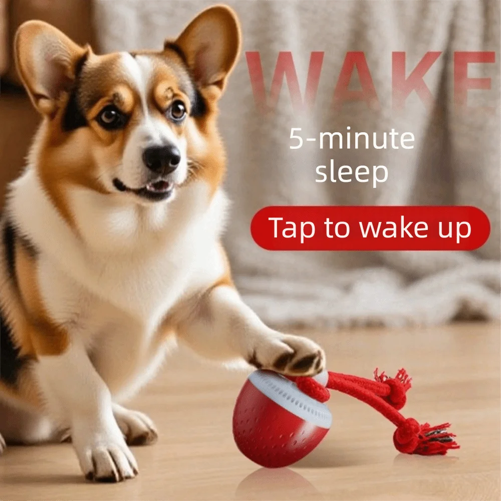 Smart Auto-Rolling Dog Toy Ball | USB Rechargeable, 3 Modes