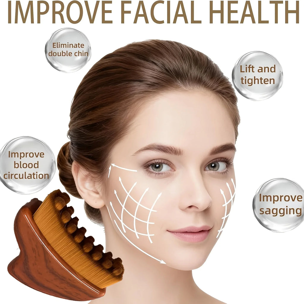 2PCS Portable Dry Facial Brush Soft Bristles Contoured Lymphatic Massage Tool Face Home Spa Gentle Exfoliation Brush ﻿ Oasis Select
