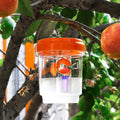 Clear Plastic Outdoor Insect Trap with Lid - Effective for Catching Fruit Flies, Wasps, Transparent Design for Easy Monitoring Oasis Select Orange