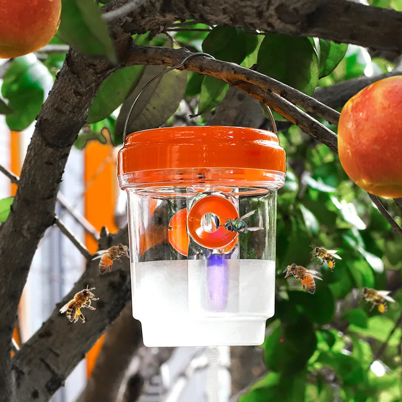 Clear Plastic Outdoor Insect Trap with Lid - Effective for Catching Fruit Flies, Wasps, Transparent Design for Easy Monitoring Oasis Select Orange