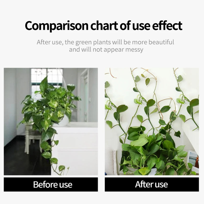 Plant Climbing Wall Self-Adhesive Fixed Buckle Hook Fastener Tied Fixture Vine Buckle Hook Garden Plant Wall Climbing Vine Clips Oasis Select