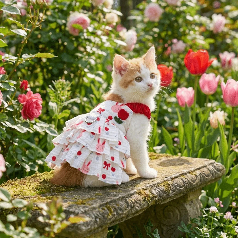 Sweet Style Thin Breathable Dog Cake Skirt Comfortable Lightweight Dog Suspenders Dress Cotton Cartoon Summer Cat Clothes Indoor Oasis Select