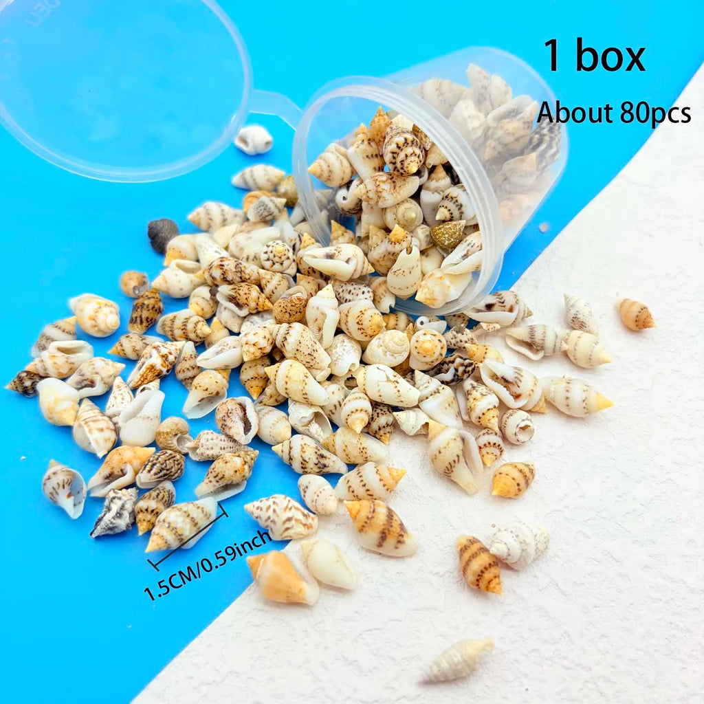 1Box Tiny Sea Shells Miniature Shell NO Hole for Candle making Jewelry Making Crafts FishTank Aquarium Ornament Craftwork Oasis Select 1 BOX