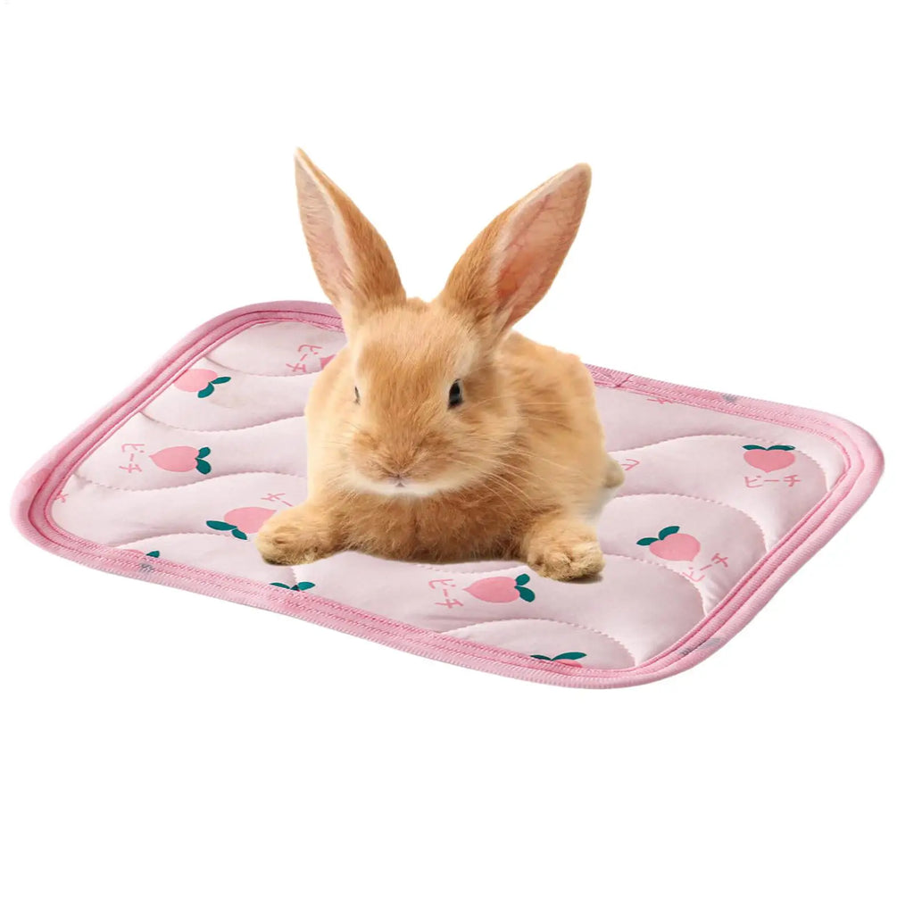 Pet Cooling Mat Summer Pet Cold Bed For Small Dogs Cat Durable Blanket Sofa Cat Ice Pad summer Blanket Pet Accessories Oasis Select