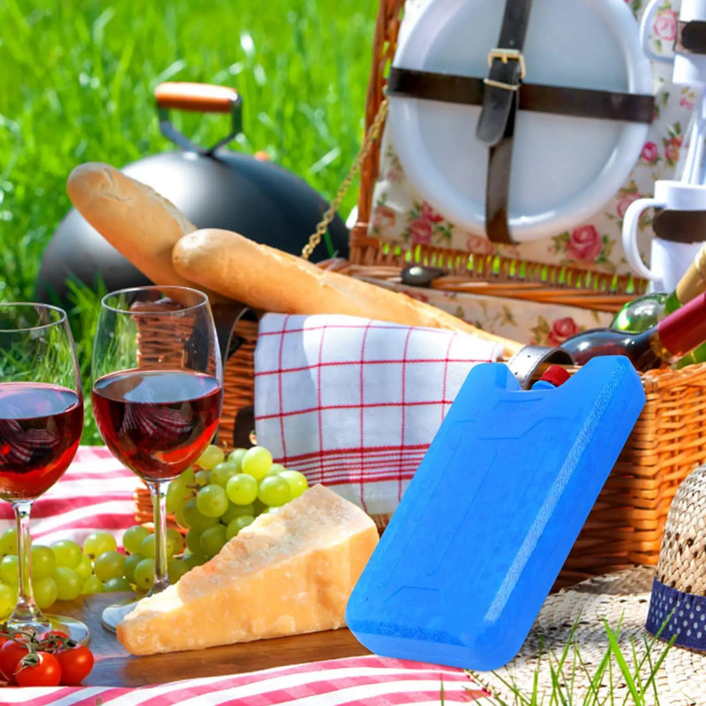 PE Ice Box Long Lasting Cooling Effect For Outdoor Picnic Food Fresh Keeping Refrigerated Transport And Home Daily Use Ice Box Oasis Select