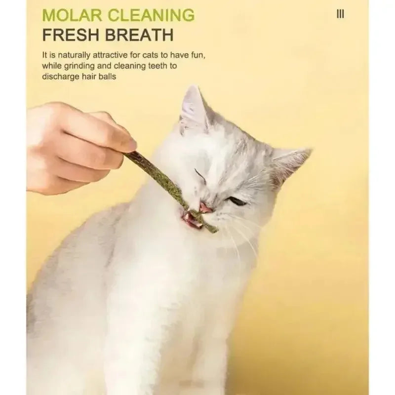 1-4pcs Natural Catnip Pet Cat Molar Toothpaste Stick Cat Snacks Sticks Pet Cleaning Teeth Cat Toys Silver Vine Pet Toy Oasis Select